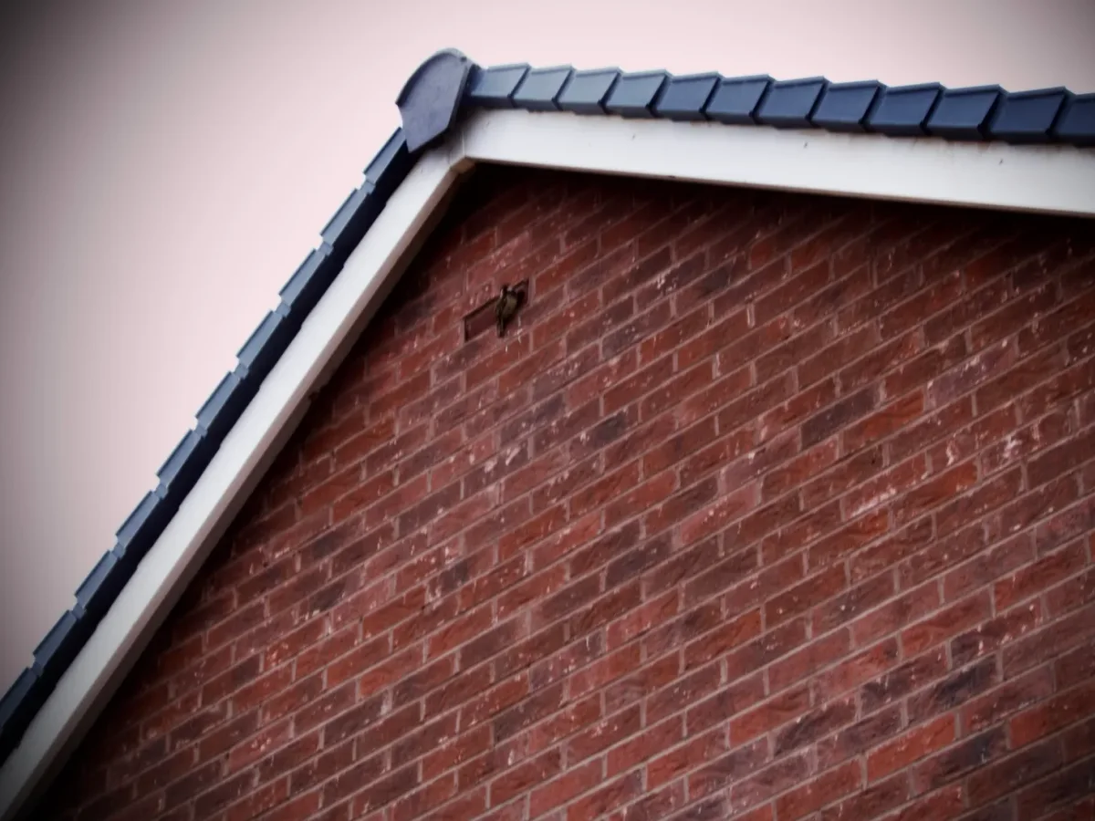 Dry Verge & Dry Hip work on a roof
