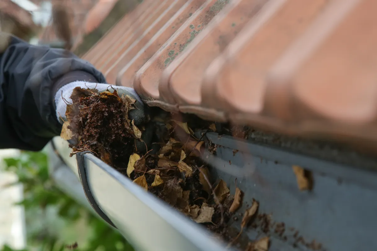 Guttering work on a roof